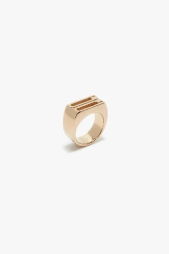 Bague cachet Dorian en or